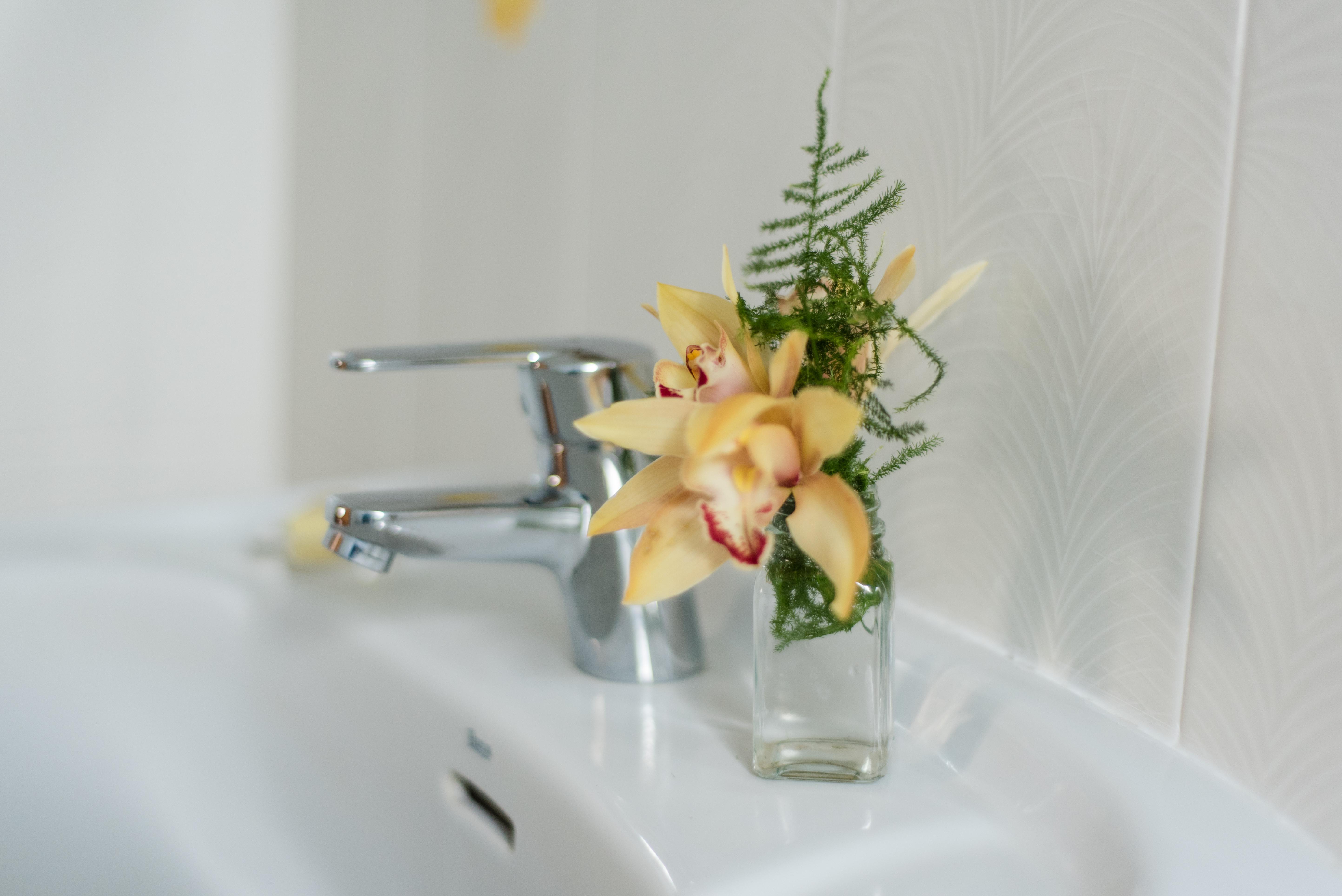 Apartamentos Mayoysa ブレーニャ・バハ エクステリア 写真