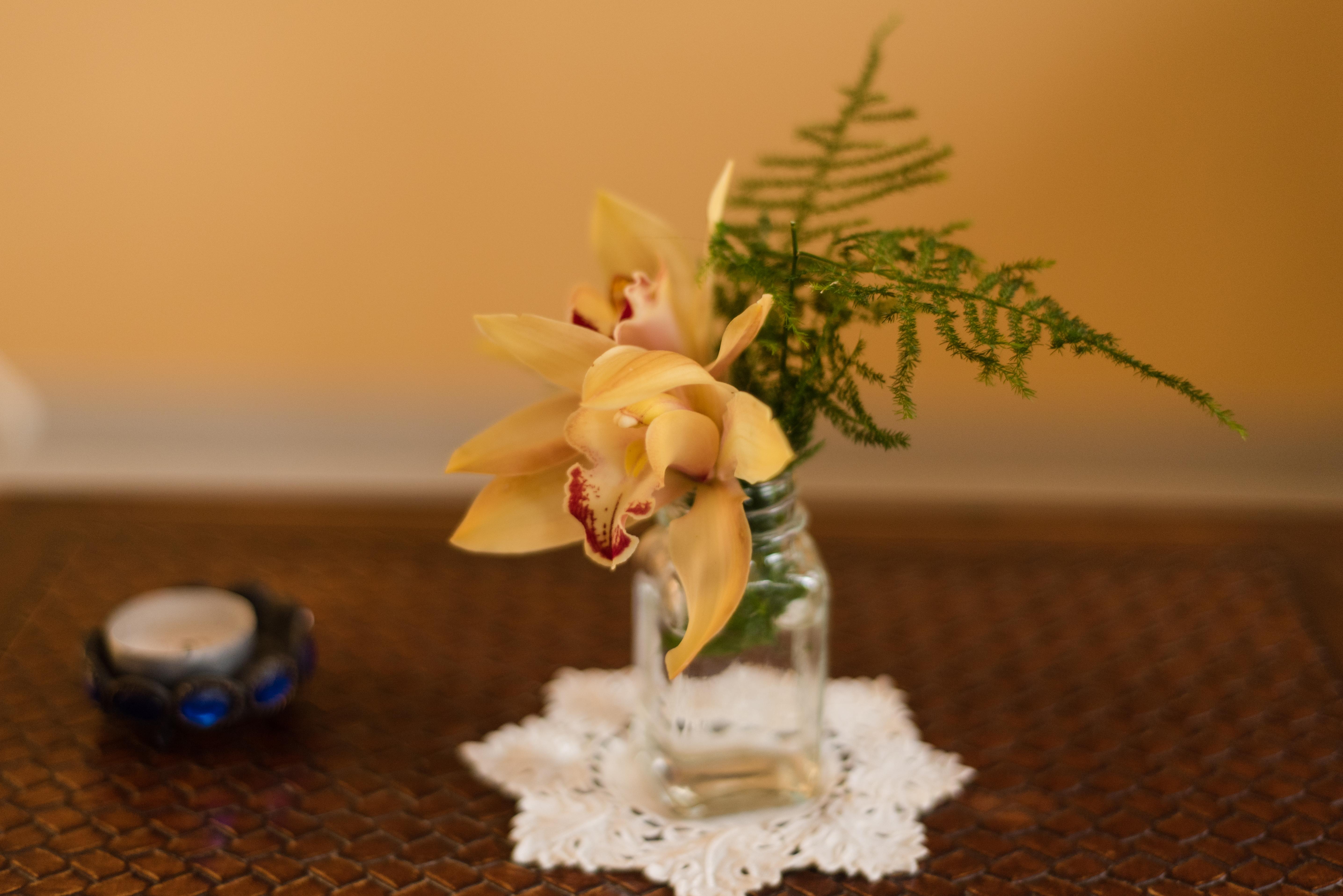 Apartamentos Mayoysa ブレーニャ・バハ エクステリア 写真